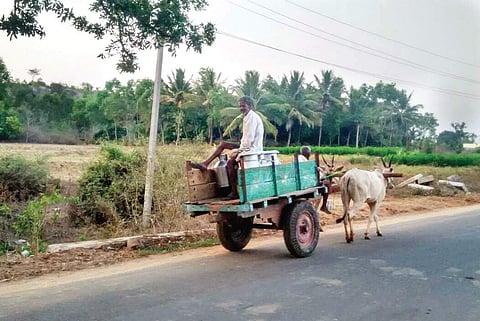 Murthy’s farm in Ramangaram; V K Murthy (inset)