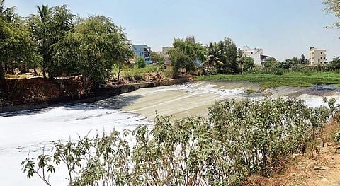 BBMP has warned of action against those dumping garbage in Bellandur Lake | Pushkar V