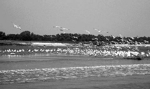 Iconic Tower, Marine Park at Chilika to attract tourists