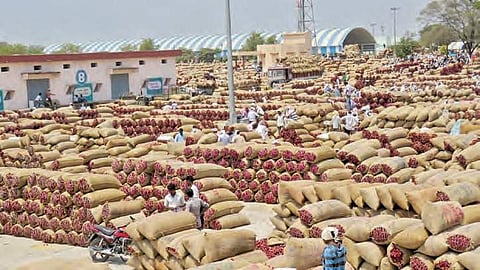 30 truckloads of gunny bags stranded as millers refuse to accept consignment