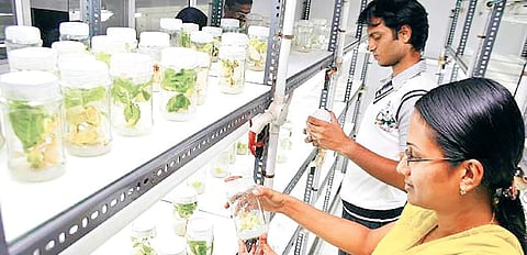 There are as many as 1,022 start-ups in the bio-technology sector with one-third of it being run by women entrepreneurs.