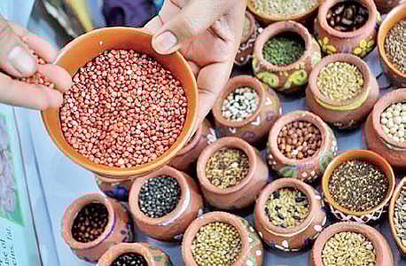 City-based millet incubator to be boon for farmers, entrepreneurs