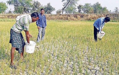 File photo for representational purpose