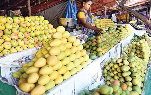 Different varieties of mango on display at a stall in Jayamahal Extension in Bengaluru on Thursday. Mango, which has flooded the markets ahead of its normal season this year, is selling like hotcakes | Nagaraja Gadekal