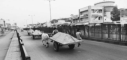 Sand being transported on bullock carts at Challakere on Saturday