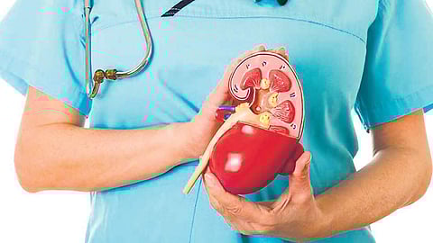 Giving life a second chance