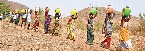 Women and men carrying drinking water from a bore around half kilometre New Gollgaondi Cheyruvu village of T Velamavaripalli mandal in Kadapa district | (P Ravindra Babu | EPS)