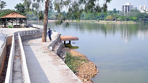 Only six of the 77 lakes tested across the state have met the quality requirements | VINOD KUMAR T