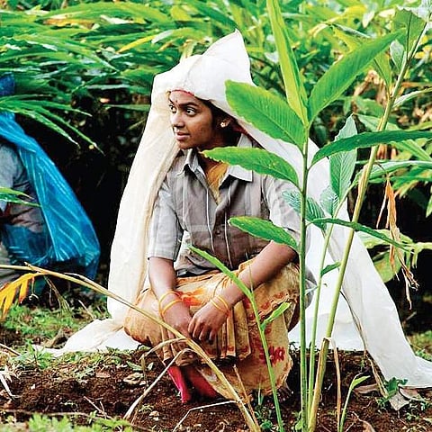 Merku Thodarchi Malai receives accolades in New York