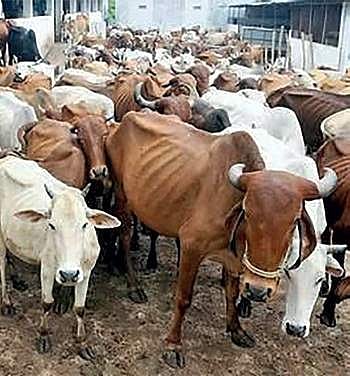 Image for representational purpose only.