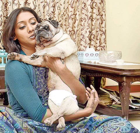 The ‘paw’ful tale of a pug