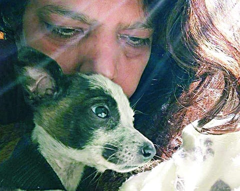 File Photo for Representational Purposes. | Express Photo Service