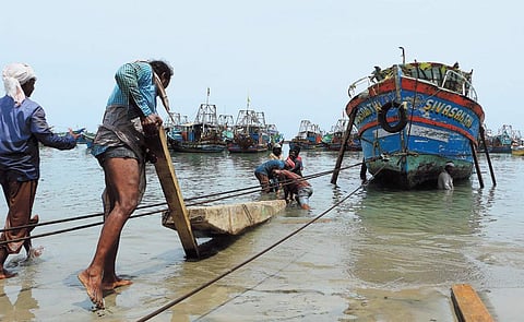 Ahead of the trawling ban, fishermen in the district are berthing their fishing boats at Puthiyappa harbour in Kozhikode on Tuesday  | T P Sooraj