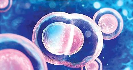 ‘Ban on commercial surrogacy must be lifted’