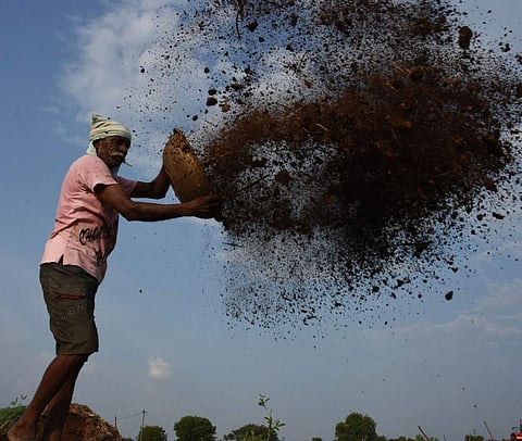 NEET II examinations, in her home near Tiruchdddsdy oII examinations, in her home near Tiruchdddsdy on Saturday | Express