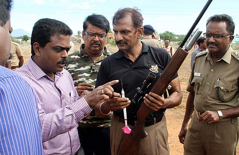 Forest veterinarian Manoharan explains to district collector T N Hariharan how the wild elephant would be tranquilised. Also seen are District Forest Officer Ramasubramaniyam, at Vellalore in Coimbatore on Friday, June 2. (Prakash Chellamuthu | Express Ph