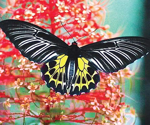 Image used for representational purposes only