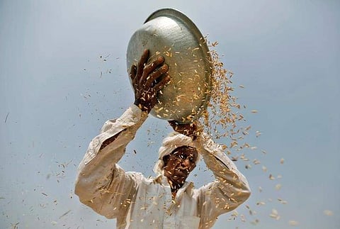 Image for representational purpose only. (File photo | Reuters)