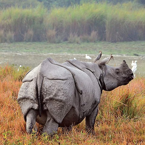 Image for representational purpose only.