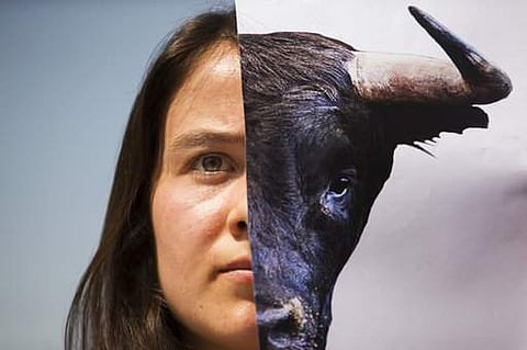 A demonstrator holds up a picture of a bull during a protest against bullfighting in Madrid, Wednesday, June 21, 2017. For some people bullfighting is a traditional spectacle in Spain but animal rights activists see it as torture against animals. (Photo |