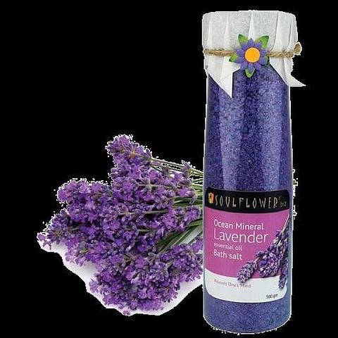 Exalt in salt secrets