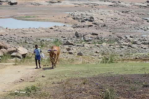 Image used for representational purpose.