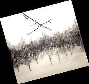 One of the art works