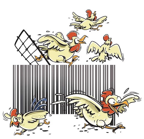 Poultry production: State at the mercy of TN farms