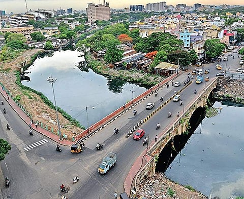 A glimpse of the Cooum river