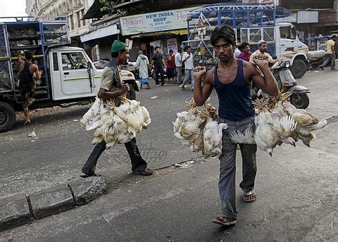 Chicken meat at Rs158/kg as traders keep their word
