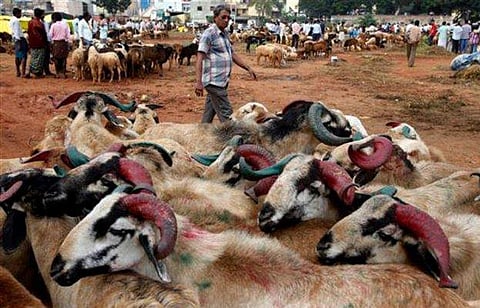 For representational purposes (File | AP)