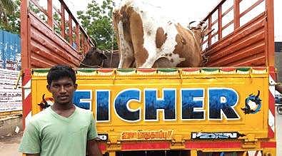 Boobalan with his cows which were stopped by Ravikumar on Anna Salai.