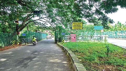 Connecting past and present