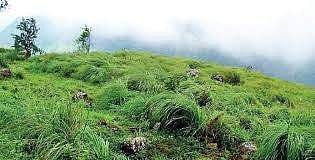 Ponmudi. (File |EPS)