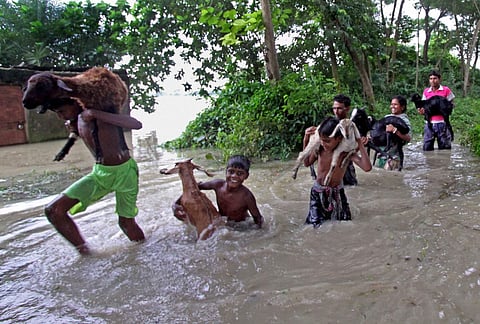 Flood-affected children shift to safe place with their goats at Thiba village in Birbhum district of West-Bengal on Sunday. | PTI
