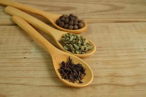Eight herbs to keep you healthy during monsoon
