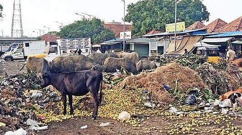 The market hardly has any facilities, not even basic ones like drinking water and clean toilets