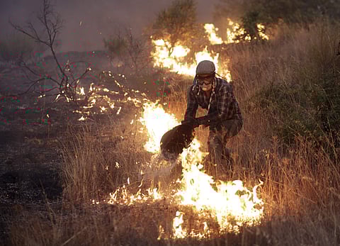 A man uses a bucket to fight a fire in a field outside the village of Sao Jose das Matas, near Macao, central Portugal. More than 2,300 firefighters with more than 700 vehicles are tackling wildfires in Portugal, where every summer large areas of woodland