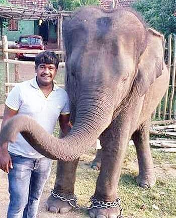 An older photo of Abhishek with an elephant calf.