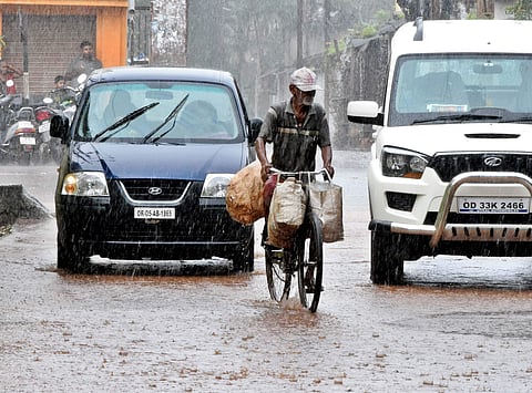 Scenes from the monsoon in Odisha.