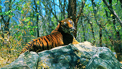 The draft bill is expected to be scheduled for debate in the state assembly session starting on Monday.