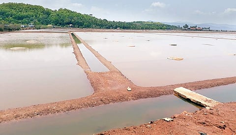Sanikatta village, nestling on the banks of river Aghanashini, has been producing brown salt since 1720