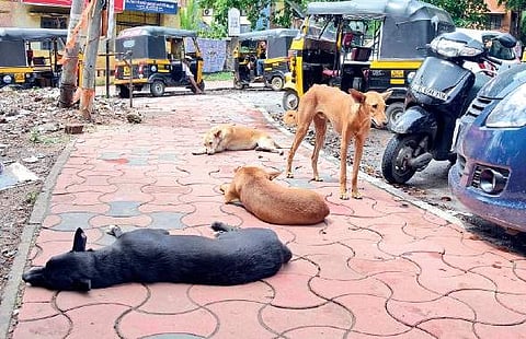 Image used for representational purposes