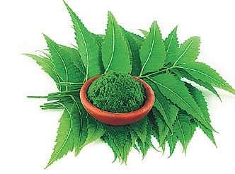 Piles perish with ayurveda