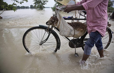 Image for representational purpose only.