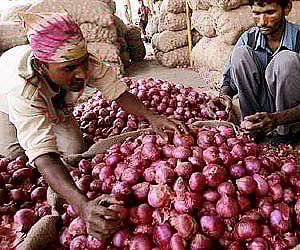 Image for representational purpose only. (File photo | EPS)