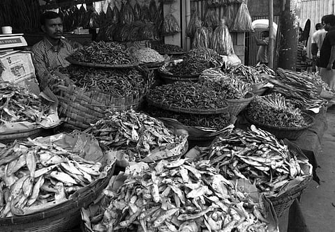 Image for representational purpose only.