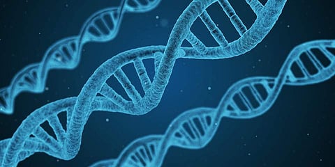 Genes linked to better immune response to flu vaccine identified