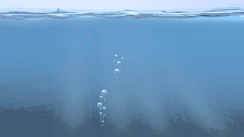 Five children drown during Ganesh Visarjan in Bhagalpur: Bihar