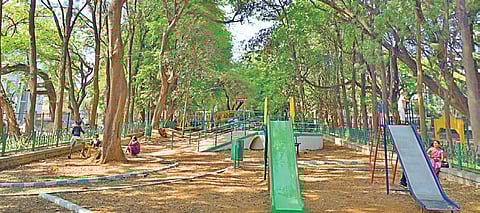 Swinging by the play parks in Bengaluru